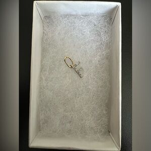 Mejuri real gold diamond charm F